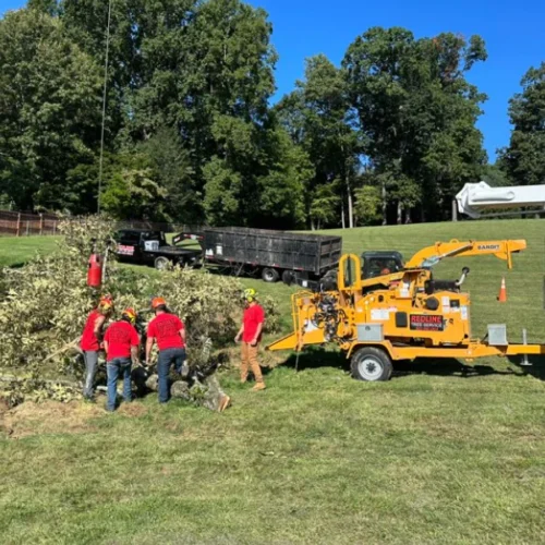 service tab tree trimming